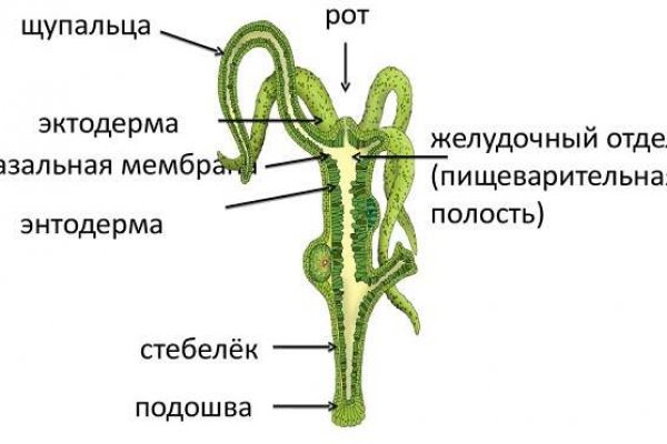 Дарк нет вход