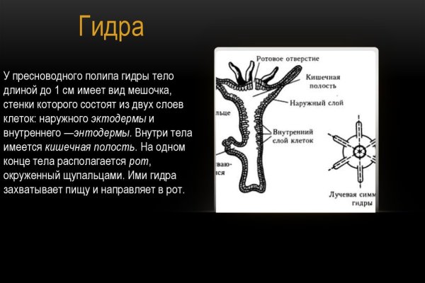 Кракен маркетплейс создатель