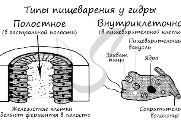 Кракен почему пользователь не найден