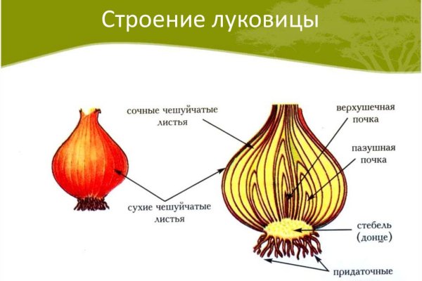 Кракен топ