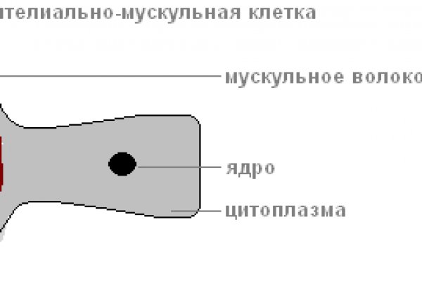 Кракен маркет только через тор скачать