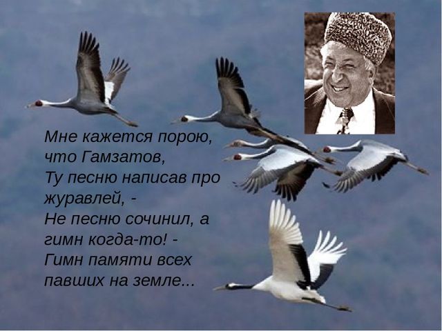 Даркнет ссылка