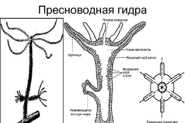 Кракен безопасный вход